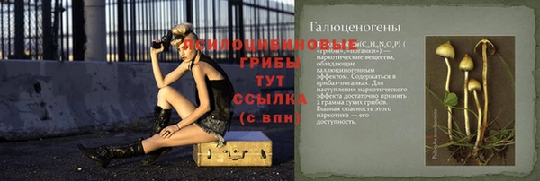 шишки Жердевка