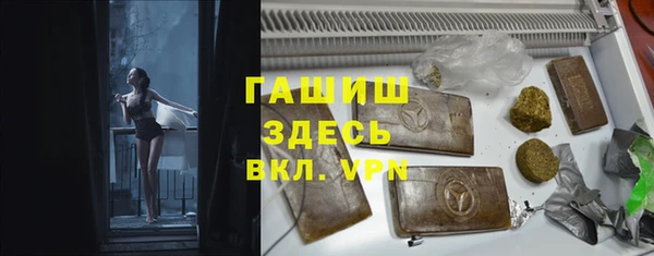 стаф Новозыбков