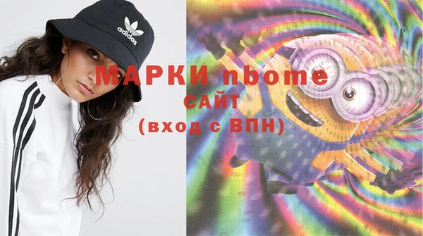 стаф Новозыбков