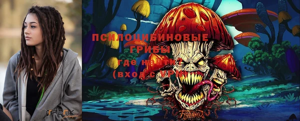 стаф Новозыбков
