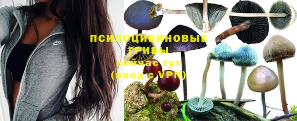 а пвп мука Надым