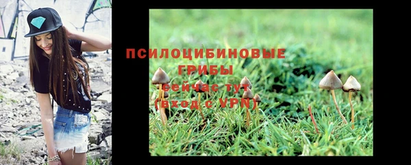 стаф Новозыбков