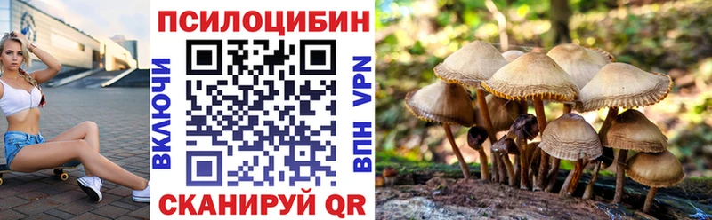 продажа наркотиков  Кашин  Галлюциногенные грибы мухоморы 