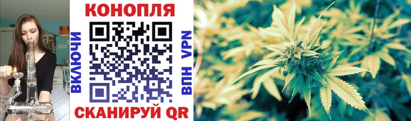 купить   Кашин  Конопля Ganja 